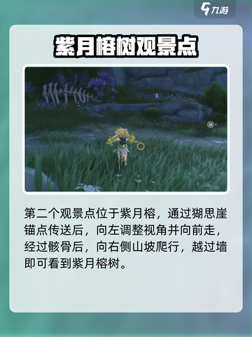 鸣潮无光森林观景点在哪介绍截图3