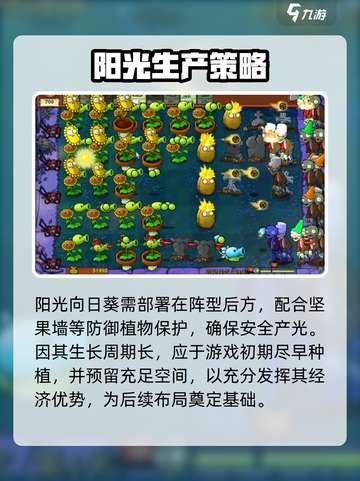 🌞植物大战僵尸：阳光向日葵逆天改命！💥截图4