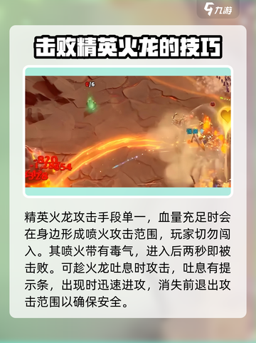 万龙觉醒精英火龙打法分享介绍截图2