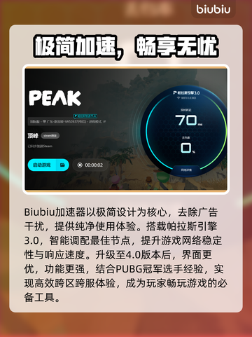 🎮Peak游戏卡顿到崩溃？加速器救星来了！截图4