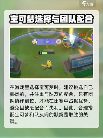 宝可梦大集结国服最新版本在哪下介绍截图5