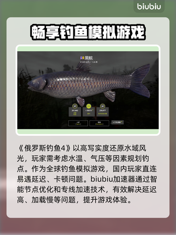 俄罗斯钓鱼4加速器推荐🎉游戏玩家必备神器！截图2