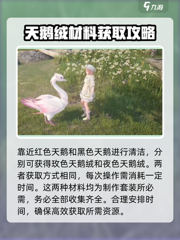 无限暖暖🔥夜色天鹅绒获取方式大揭秘！截图4