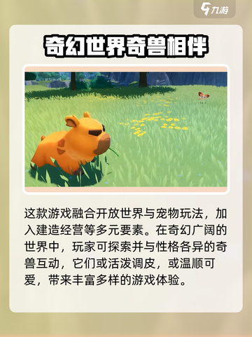 酷比大陆攻略分享介绍截图2