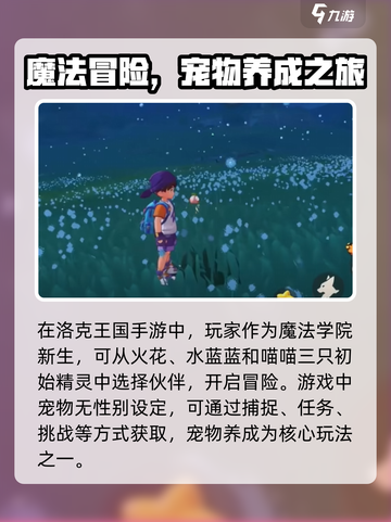 洛克王国手游宠物性别设定介绍截图2