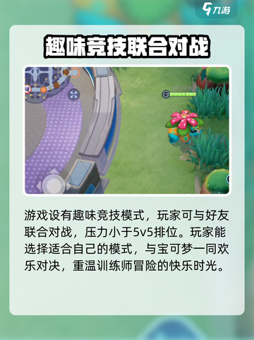 宝可梦大集结画面设置方法介绍截图4