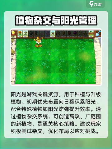 植物大战僵尸杂交版通关方法介绍截图3