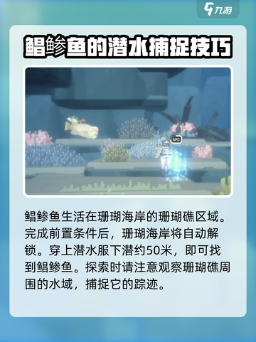 潜水员戴夫鲳鲹在哪介绍截图3
