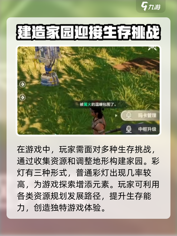 荒野起源彩灯作用有哪些介绍截图2