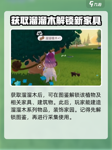 心动小镇🔥溜溜木位置大曝光！快来看看在哪✨截图5