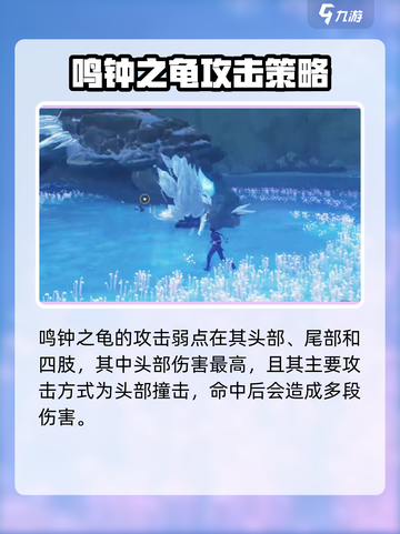 鸣潮🔥鸣钟之龟打法攻略⚡超强推荐！截图4