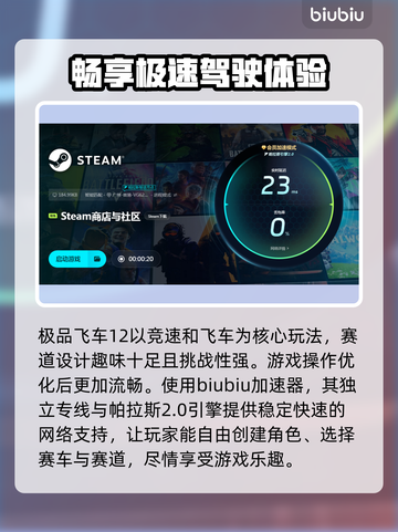 极品飞车12闪退？❌加速器来救场！🚀截图4