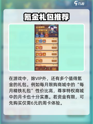 《守护之境VIP价格表曝光！🔥》截图4