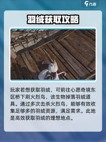 七日世界羽绒怎么获得介绍截图3