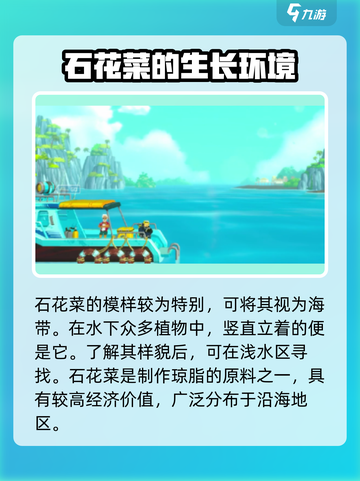 潜水员戴夫石花菜在哪介绍截图3