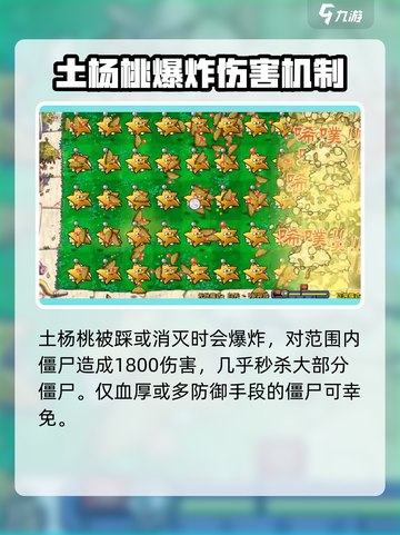 植物大战僵尸：土杨桃💎超强作用揭秘，玩了就上瘾！截图3