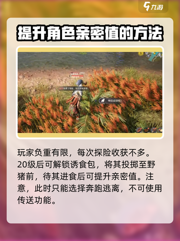 荒野起源耐力如何提升介绍截图3