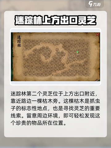 大侠立志传灵芝在哪介绍截图5
