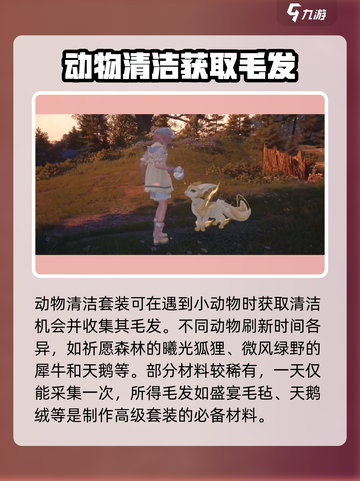 无限暖暖动物清洁怎么做介绍截图4