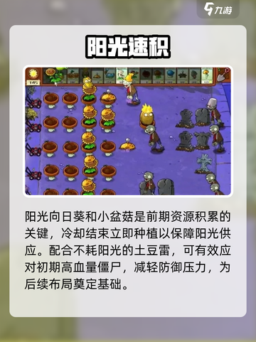 🔥植物大战僵尸杂交版第9关秒过！💥截图2