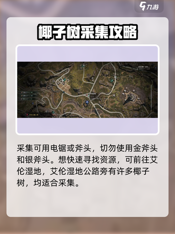 《七日世界》椰子获取大揭秘！💎轻松拿到手软⚡截图3