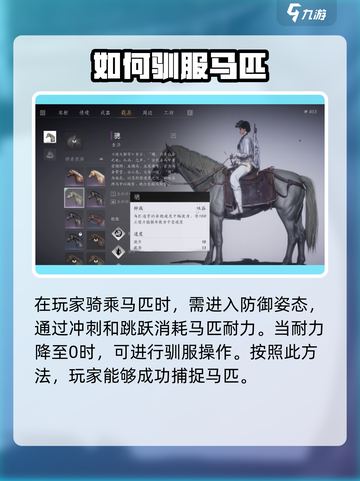 燕云十六声马在哪抓介绍截图4