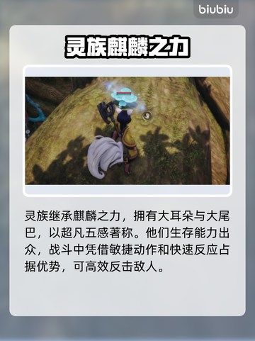 剑灵2🔥灵族超强解析来啦！新手必看💥截图2