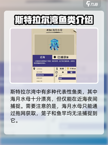 渔帆暗涌斯特拉尔湾钓鱼指南介绍截图3