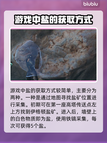 雾锁王国🎮：盐获取&用法大揭秘！🔥截图2