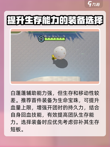 宝可梦大集结白蓬蓬套装有哪些介绍截图2
