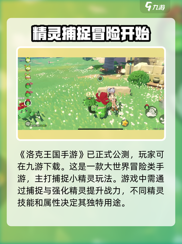 洛克王国手游版怎么下载介绍截图2