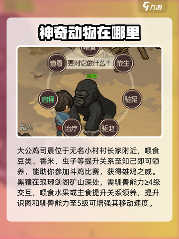 大侠立志传哪个宠物好介绍截图2