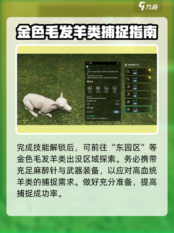 七日世界金羊毛获取攻略介绍截图3
