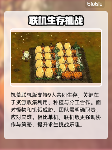 饥荒联机卡顿？这些技巧让你流畅玩耍🔥🎮截图2