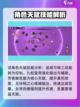 代号伙伴女帝技能介绍介绍截图3