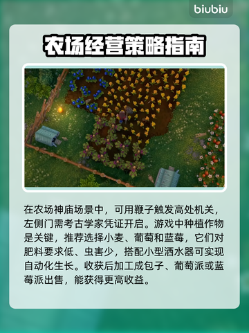 鲁玛岛🔥新手必看！快速上手小技巧💡截图4