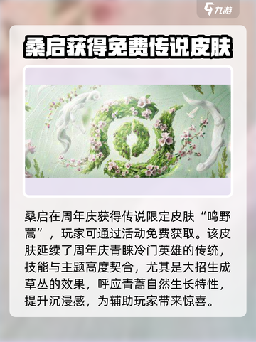 王者荣耀九周年限定皮肤介绍介绍截图3