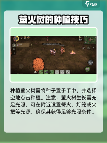 饥荒新家园🔥萤火树种植技巧大公开！💡截图3