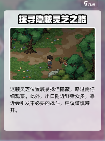 大侠立志传迷踪林灵芝在哪介绍截图5