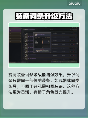 《王权与自由》装备词条升级大揭秘💥🔥截图3