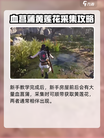 七日世界血菖蒲采集点有哪些介绍截图3