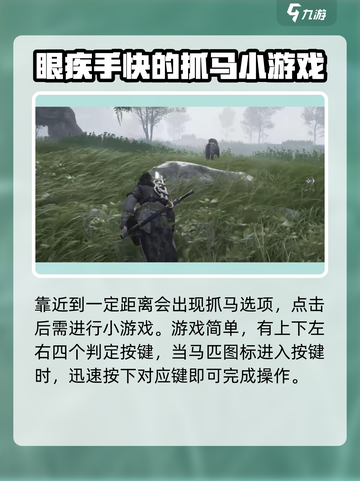 燕云十六声马怎么抓介绍截图3