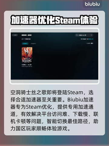🎮空洞骑士丝之歌加速器推荐！性能稳到爆💥截图2