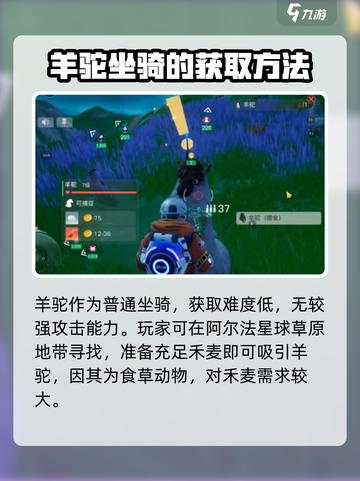 游戏名：创造吧我们的星球  
标题：🔥创造吧我们的星球羊驼啾捕捉秘籍🎉截图2