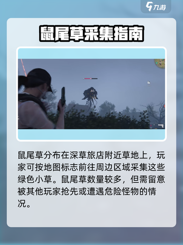 七日世界手游鼠尾草位置介绍介绍截图2