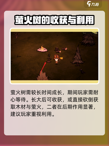 饥荒新家园🔥萤火树种植技巧大公开！✨截图4