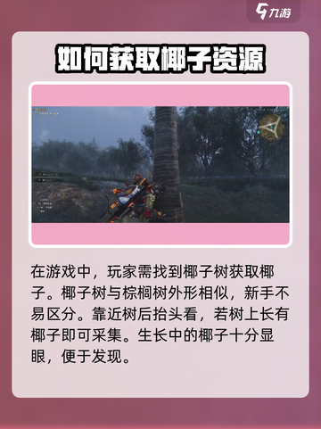 七日世界椰子大曝光！💎快速获取秘籍在这里！截图2