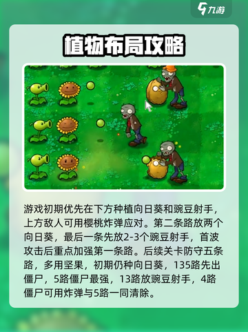 🎮植物大战僵尸高难版通关秘籍！新手必看💥截图4