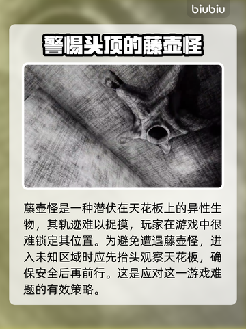 泰拉瑞亚🔥内容警告藤壶怪应对方法分享！截图2