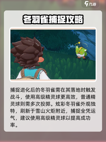 洛克王国世界冬羽雀怎么捕捉介绍截图4